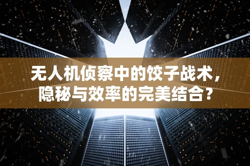 无人机侦察中的饺子战术，隐秘与效率的完美结合？