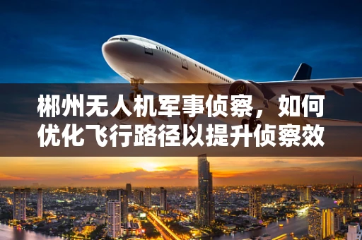 郴州无人机军事侦察，如何优化飞行路径以提升侦察效率？
