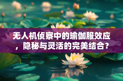无人机侦察中的瑜伽服效应，隐秘与灵活的完美结合？