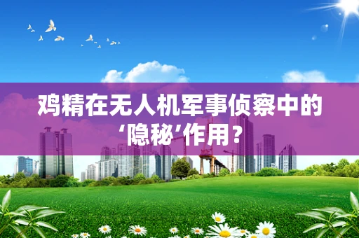 鸡精在无人机军事侦察中的‘隐秘’作用？