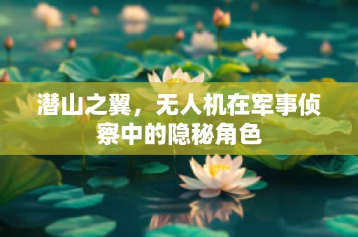 潜山之翼，无人机在军事侦察中的隐秘角色