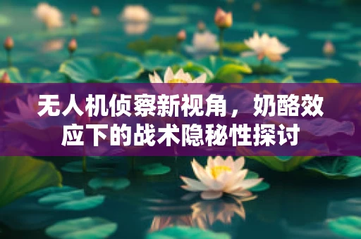 无人机侦察新视角，奶酪效应下的战术隐秘性探讨