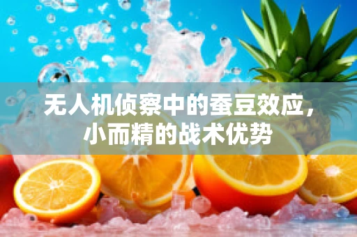 无人机侦察中的蚕豆效应，小而精的战术优势