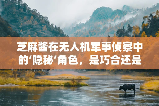 芝麻酱在无人机军事侦察中的‘隐秘’角色，是巧合还是别有洞天？
