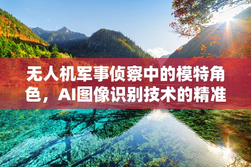 无人机军事侦察中的模特角色，AI图像识别技术的精准度挑战