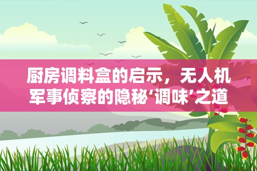 厨房调料盒的启示，无人机军事侦察的隐秘‘调味’之道？