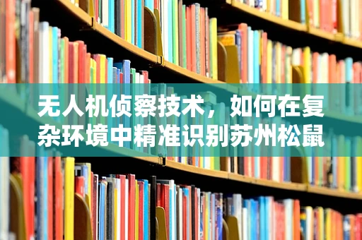无人机侦察技术，如何在复杂环境中精准识别苏州松鼠桂鱼的独特风味？