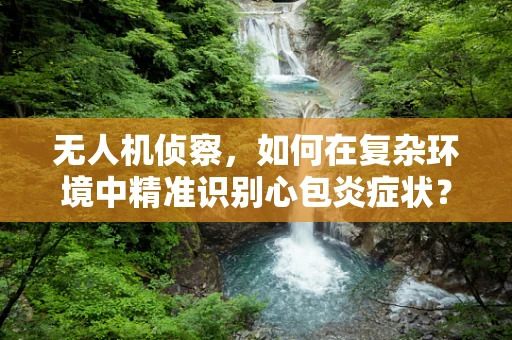 无人机侦察，如何在复杂环境中精准识别心包炎症状？