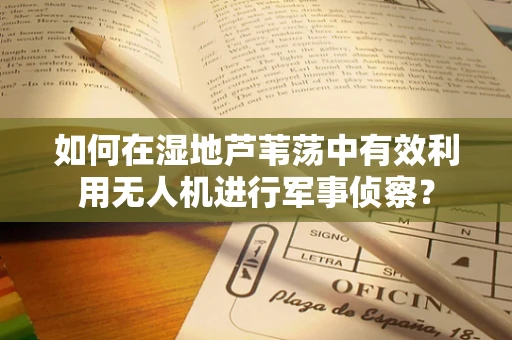 如何在湿地芦苇荡中有效利用无人机进行军事侦察？
