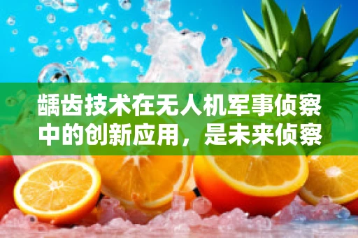 龋齿技术在无人机军事侦察中的创新应用，是未来侦察的‘隐形利齿’吗？