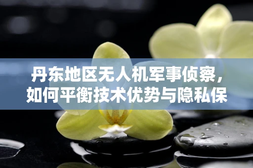 丹东地区无人机军事侦察，如何平衡技术优势与隐私保护？