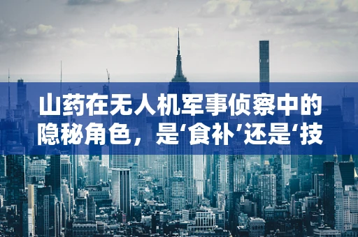 山药在无人机军事侦察中的隐秘角色，是‘食补’还是‘技术助攻’？