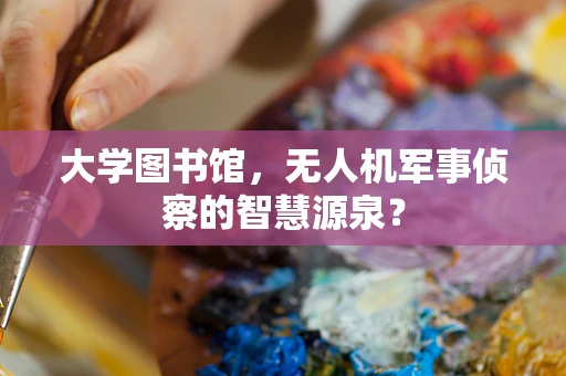 大学图书馆，无人机军事侦察的智慧源泉？