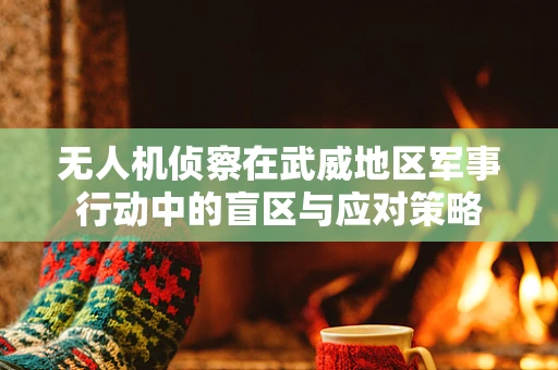 无人机侦察在武威地区军事行动中的盲区与应对策略