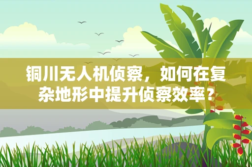铜川无人机侦察，如何在复杂地形中提升侦察效率？