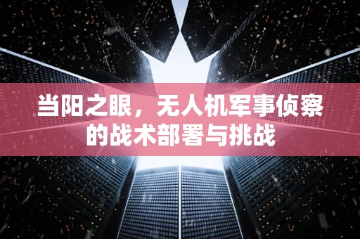 当阳之眼，无人机军事侦察的战术部署与挑战