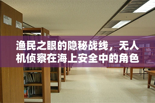 渔民之眼的隐秘战线，无人机侦察在海上安全中的角色