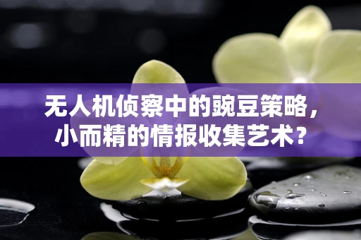 无人机侦察中的豌豆策略，小而精的情报收集艺术？