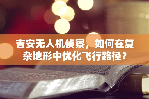 吉安无人机侦察，如何在复杂地形中优化飞行路径？