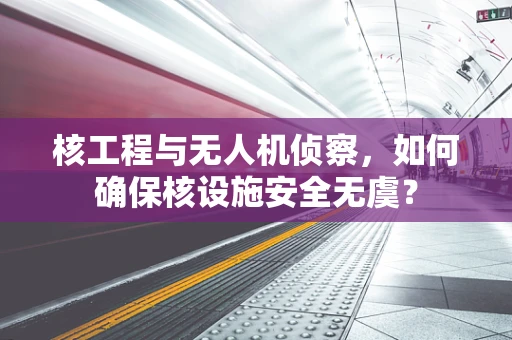 核工程与无人机侦察，如何确保核设施安全无虞？