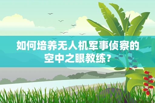如何培养无人机军事侦察的空中之眼教练？