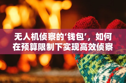 无人机侦察的‘钱包’，如何在预算限制下实现高效侦察？