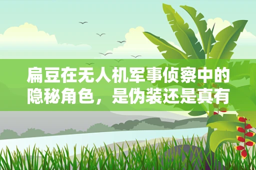 扁豆在无人机军事侦察中的隐秘角色，是伪装还是真有其实？