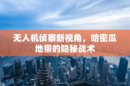 无人机侦察新视角，哈密瓜地带的隐秘战术