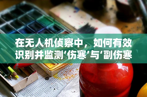 在无人机侦察中，如何有效识别并监测‘伤寒’与‘副伤寒’疫情的传播？