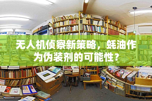 无人机侦察新策略，蚝油作为伪装剂的可能性？