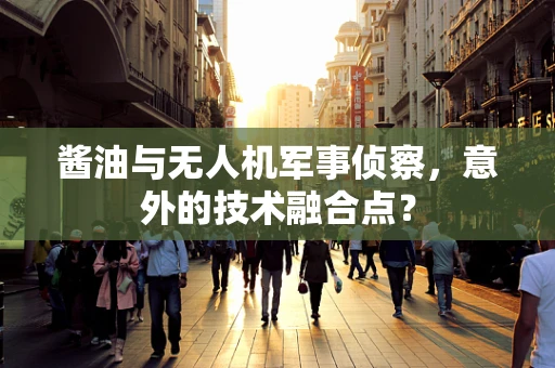酱油与无人机军事侦察，意外的技术融合点？