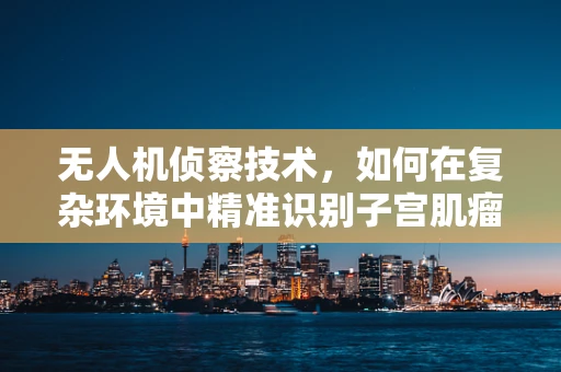 无人机侦察技术，如何在复杂环境中精准识别子宫肌瘤般的军事目标？