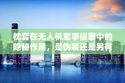 枕套在无人机军事侦察中的隐秘作用，是伪装还是另有玄机？
