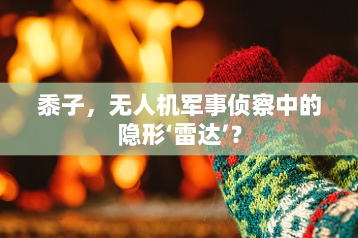 黍子，无人机军事侦察中的隐形‘雷达’？