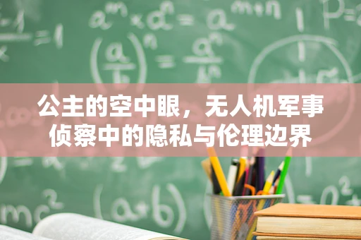 公主的空中眼，无人机军事侦察中的隐私与伦理边界