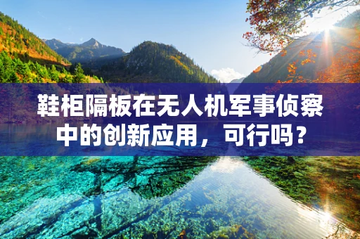 鞋柜隔板在无人机军事侦察中的创新应用，可行吗？