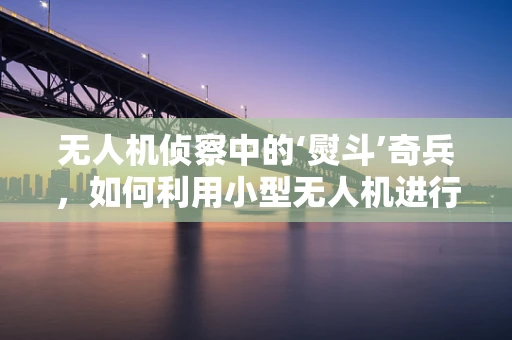 无人机侦察中的‘熨斗’奇兵，如何利用小型无人机进行隐蔽侦察？