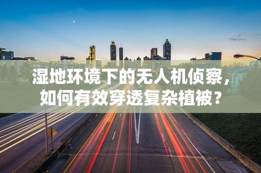湿地环境下的无人机侦察，如何有效穿透复杂植被？