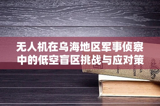 无人机在乌海地区军事侦察中的低空盲区挑战与应对策略