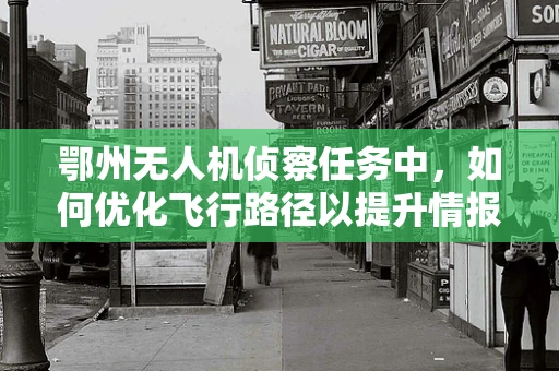 鄂州无人机侦察任务中，如何优化飞行路径以提升情报收集效率？