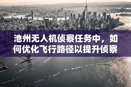 池州无人机侦察任务中，如何优化飞行路径以提升侦察效率？