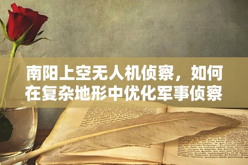 南阳上空无人机侦察，如何在复杂地形中优化军事侦察效率？