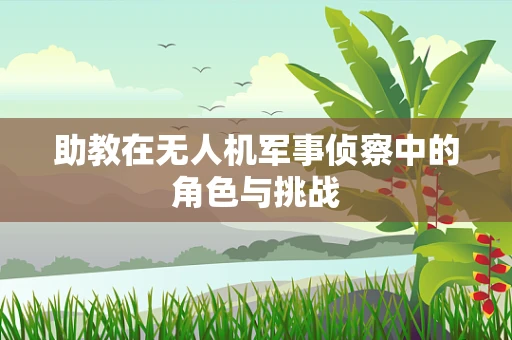 助教在无人机军事侦察中的角色与挑战