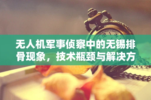 无人机军事侦察中的无锡排骨现象，技术瓶颈与解决方案的探索