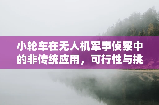 小轮车在无人机军事侦察中的非传统应用，可行性与挑战？