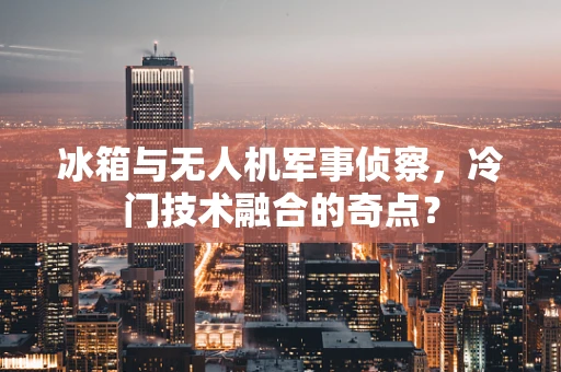 冰箱与无人机军事侦察，冷门技术融合的奇点？