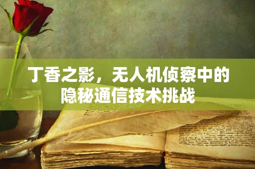 丁香之影，无人机侦察中的隐秘通信技术挑战