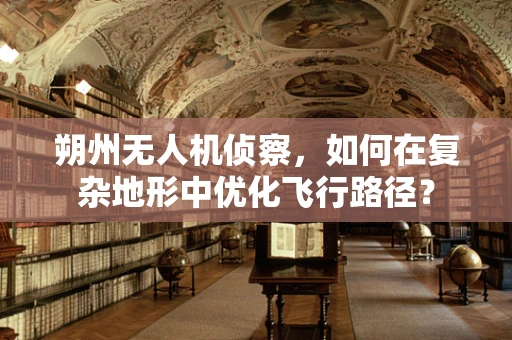 朔州无人机侦察，如何在复杂地形中优化飞行路径？