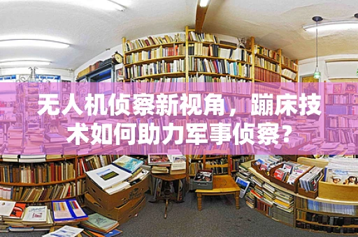 无人机侦察新视角，蹦床技术如何助力军事侦察？