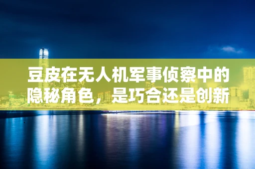 豆皮在无人机军事侦察中的隐秘角色，是巧合还是创新？